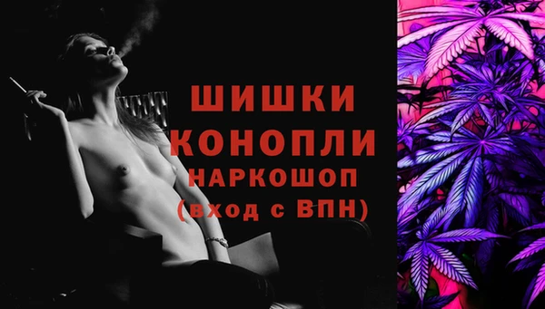 2c-b Краснослободск